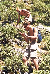 Joost en Lars in de distels