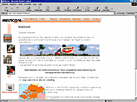 Screenshot of Melticom-website